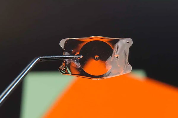 lentille implant phake